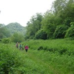 SAV OG Lago di Bolsena 201605 14-22a 008 grünes Lentetal
