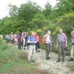 SAV OG Lago di Bolsena 20160514-22 024 Trevinano Paglia