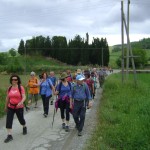 SAV OG Lago di Bolsena 20160514-22 029 Wo ist denn endlich der Fluss