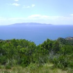 SAV OG Lago di Bolsena 20160514-22a 048 Giglio