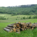 SAV OG HW7 2016 005 SAV OG HW7 2016 005