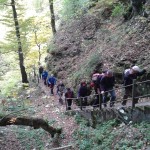 20161023_122032 20161023_122032