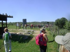 2017-03-30-04-04-sav-sizilien-015