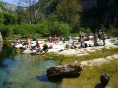 2017-03-30-04-04-sav-sizilien-030-cava-grande-del-cassibile-boden