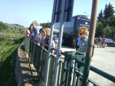 2017-03-30-04-04-sav-sizilien-053