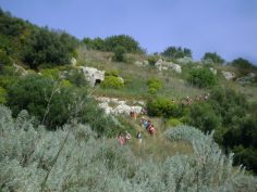 2017-03-30-04-04-sav-sizilien-116-valle-di-anapo