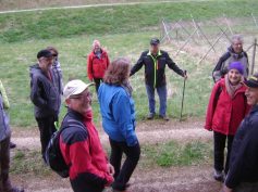 sav-maiwanderung-005 sav-maiwanderung-005