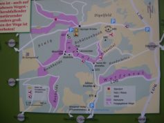 sav-maiwanderung-006 sav-maiwanderung-006