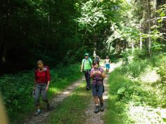 foto2599-tannental-ri-veringendorf