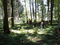 foto2607-grosser-buchwald