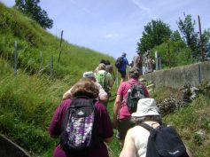 2017-07-09-sav-seeburg-005