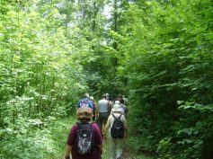 2017-07-09-sav-seeburg-009