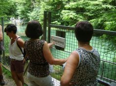 2017-07-09-sav-seeburg-010