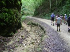 2017-07-09-sav-seeburg-012