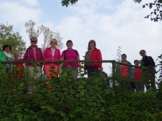 sav-busfahrt-meersburg-ittendorf-013