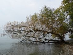 sav-busfahrt-meersburg-ittendorf-014