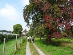 sav-busfahrt-meersburg-ittendorf-035