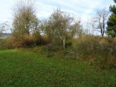 sav-landschaftspflege-neben-hegener-baeumle-004-vorher sav-landschaftspflege-neben-hegener-baeumle-004-vorher