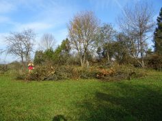 sav-landschaftspflege-neben-hegener-baeumle-014-sgeht-voran sav-landschaftspflege-neben-hegener-baeumle-014-sgeht-voran