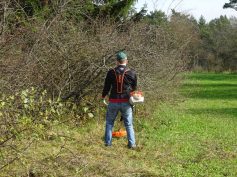 sav-landschaftspflege-neben-hegener-baeumle-020-voll-rein sav-landschaftspflege-neben-hegener-baeumle-020-voll-rein