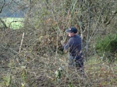 sav-landschaftspflege-neben-hegener-baeumle-025-noch-undurchschaubar sav-landschaftspflege-neben-hegener-baeumle-025-noch-undurchschaubar