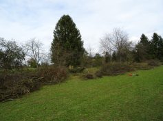 sav-landschaftspflege-neben-hegener-baeumle-032-viele-viele-stoeckchen sav-landschaftspflege-neben-hegener-baeumle-032-viele-viele-stoeckchen