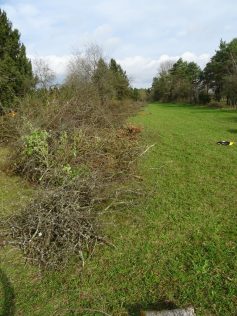 sav-landschaftspflege-neben-hegener-baeumle-035-so-weit-das-auge-reicht sav-landschaftspflege-neben-hegener-baeumle-035-so-weit-das-auge-reicht