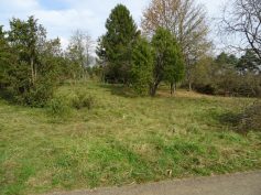 sav-landschaftspflege-neben-hegener-baeumle-036-freier-eingang sav-landschaftspflege-neben-hegener-baeumle-036-freier-eingang