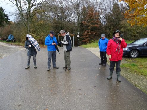 2017-11-12-sav-pww-in-spe-hay-anhausen-010 2017-11-12-sav-pww-in-spe-hay-anhausen-010