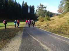 sav-wiwa-duerrenstetten-gundelfingen-015 sav-wiwa-duerrenstetten-gundelfingen-015