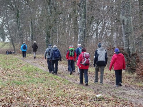 sav-wiwa-duerrenstetten-gundelfingen-028 sav-wiwa-duerrenstetten-gundelfingen-028