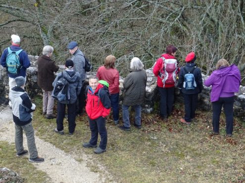 sav-wiwa-duerrenstetten-gundelfingen-038 sav-wiwa-duerrenstetten-gundelfingen-038