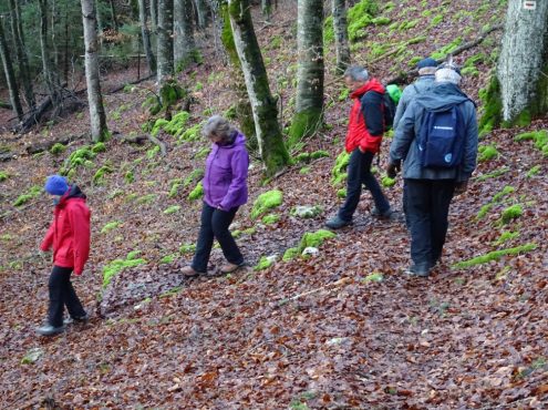 sav-wiwa-duerrenstetten-gundelfingen-047 sav-wiwa-duerrenstetten-gundelfingen-047