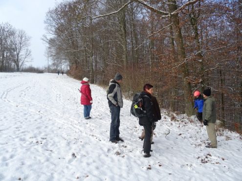 Hayinger Flurnamen Ost (10)