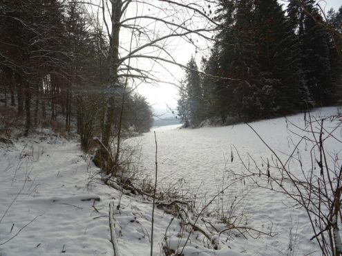 Hayinger Flurnamen Ost (13)