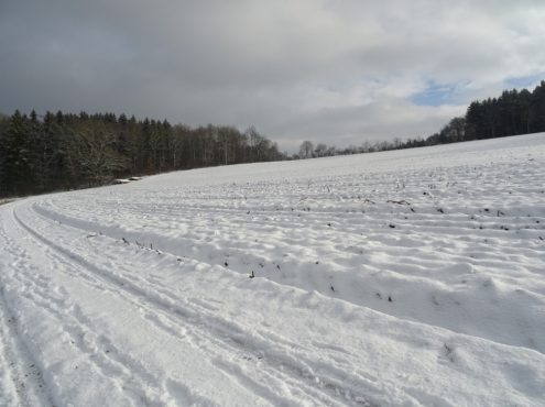 Hayinger Flurnamen Ost (7)