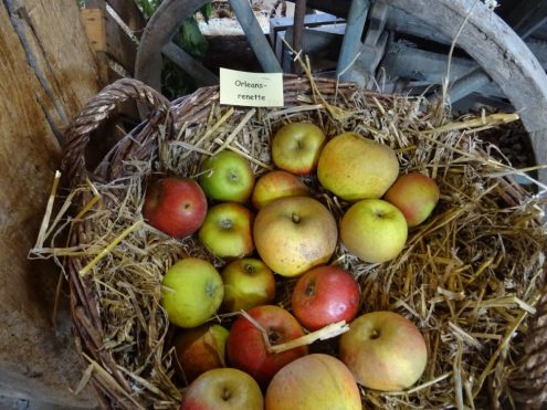 SAV Bauernhausmuseum Wolfegg und Wanderung (11)