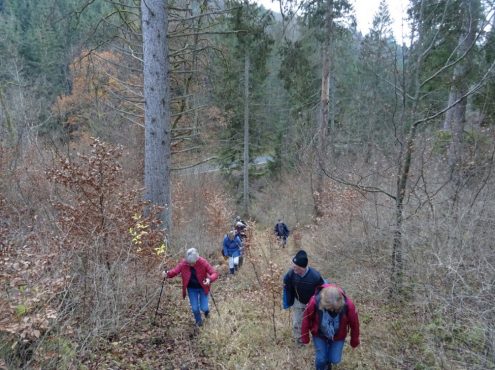 Wanderung Hay Flurnamen 191124 (6)