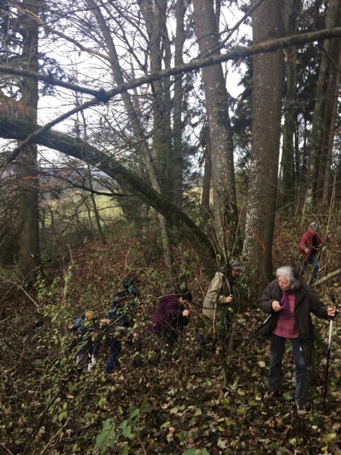 Wanderung Hay Flurnamen2019 (6)