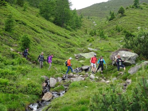 SAV Hayingen Komf BergWE Proveis 20200710-14 (129) Kurz vor Kesselalm Nr.11