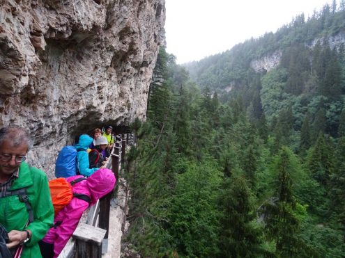 SAV Hayingen Komf BergWE Proveis 20200710-14 (45) Felsenweg San Romedio Sanzeno