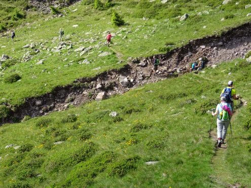 SAV Hayingen Komf BergWE Proveis 20200710-14 (99) Höhenweg Bonacossa am Laugen