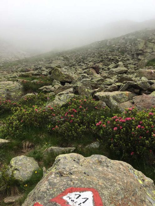 SAV Hayingen Komf BergWE Proveis 20200710-14 mobil (29) Nebel kein Hochwartaufstieg möglich