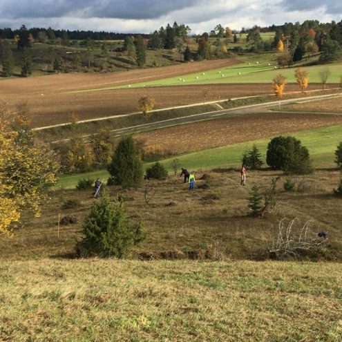 SAV-Landschaftspflege-201024-11-Runder-Burren-768x768