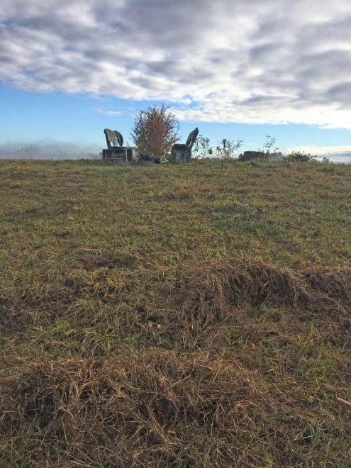 SAV-Landschaftspflege-201024-3