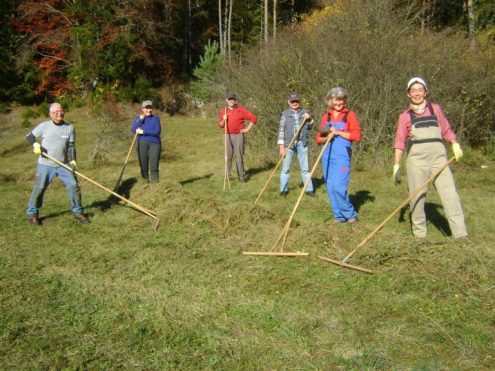 SAV-Landschaftspflege-201031-15-Silberberg-768x576