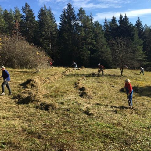 SAV-Landschaftspflege-201031-mobil-21-Silberberg-768x768