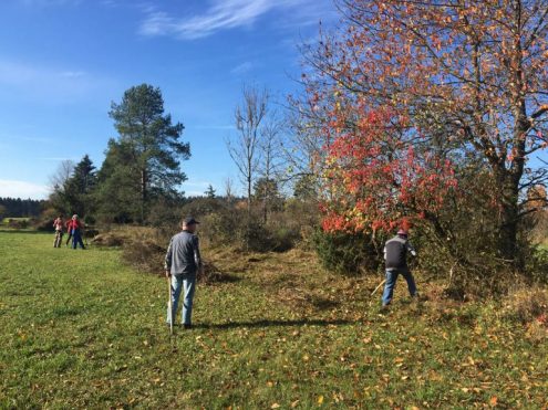 SAV-Landschaftspflege-201031-mobil-5-768x576