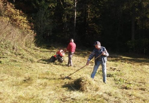 Silberberg-20201031-2-Silberberg-768x533