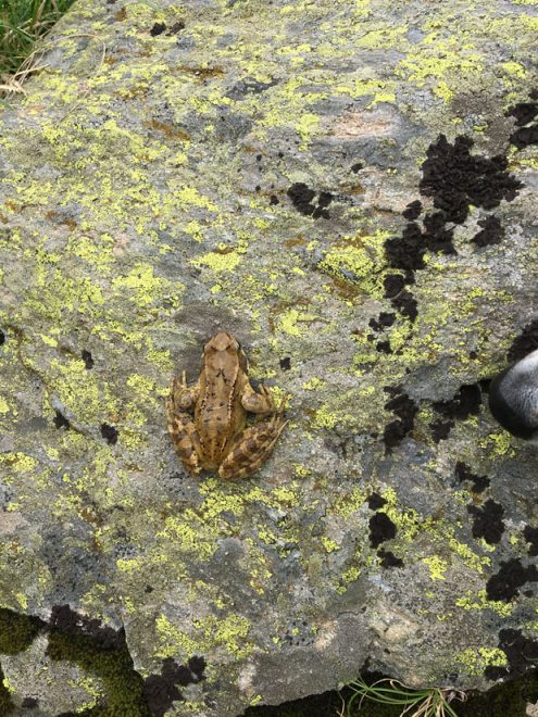 SAV 2021 07 17 Proveis mobil JH (50)